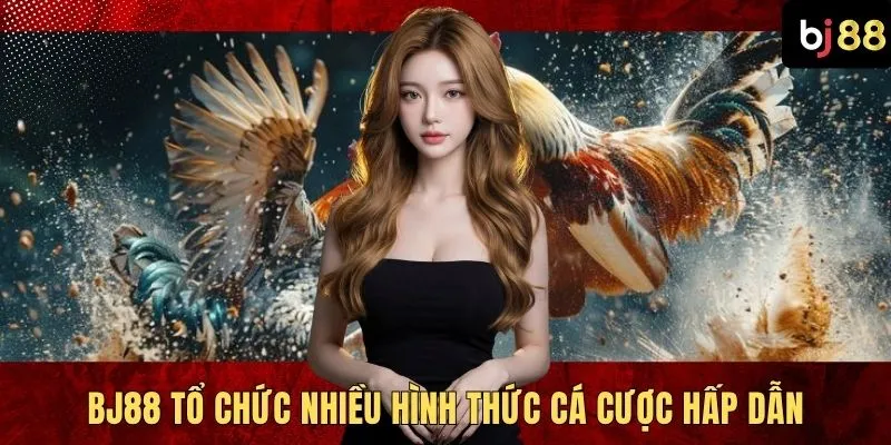 BJ88 tổ chức nhiều hình thức cá cược hấp dẫn