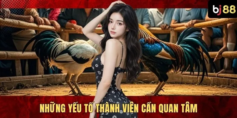 Những yếu tố thành viên cần quan tâm
